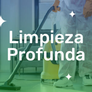 Limpieza Profunda